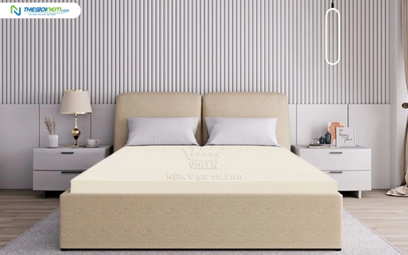 Nệm cao su Vạn Thành Standard chính hãng 